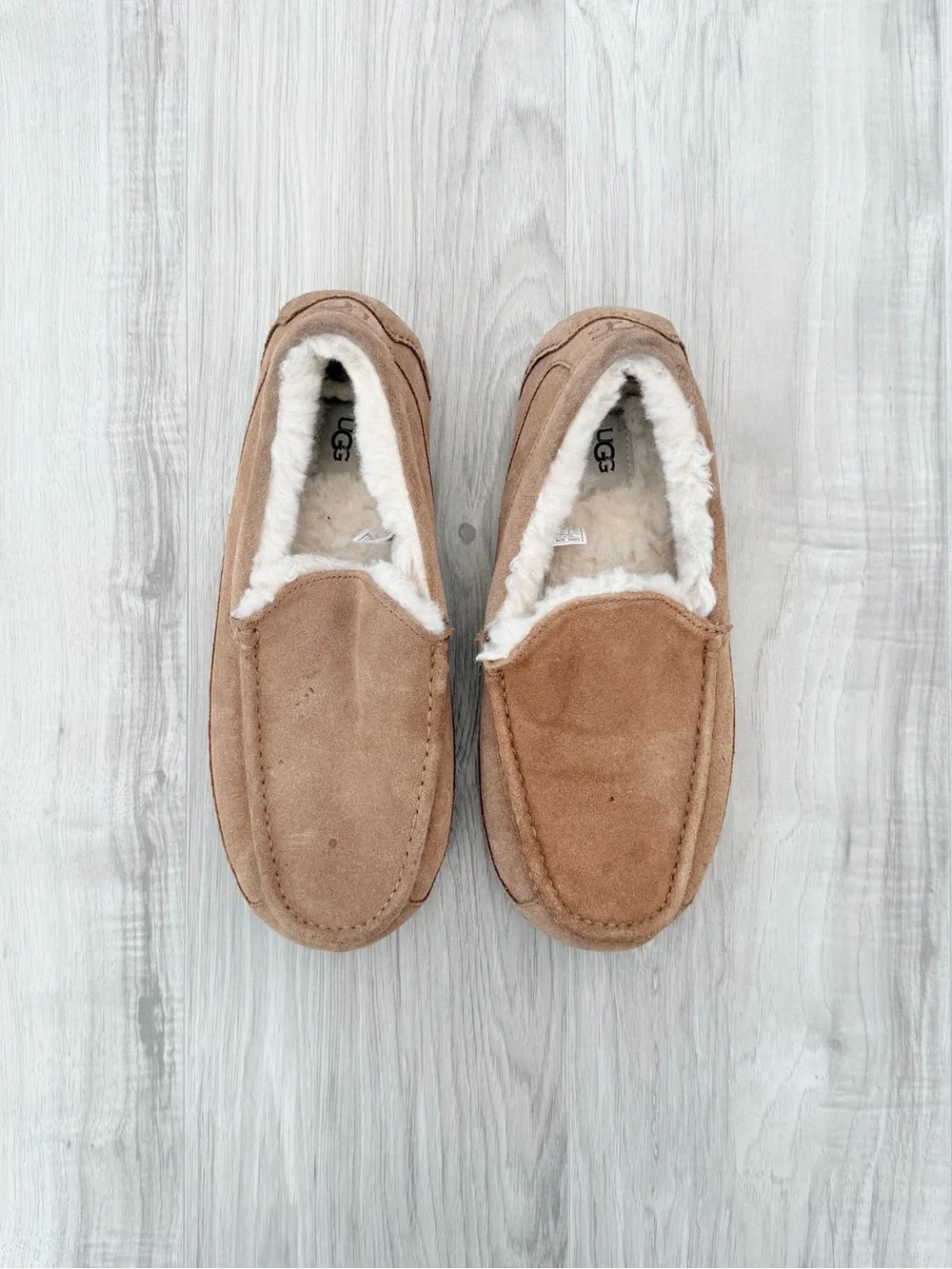 UGG Men's Ascot slippers in the Chestnut color